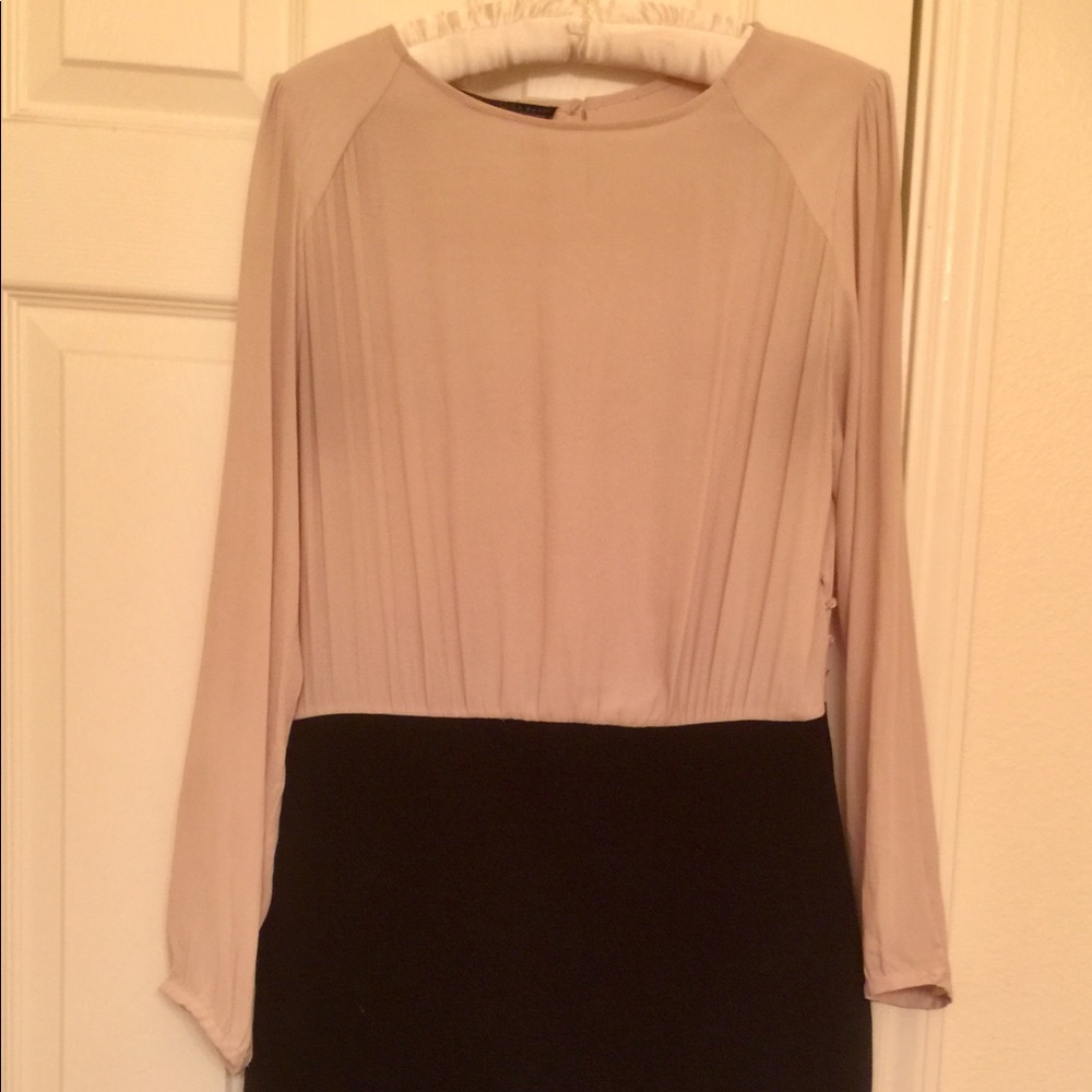 Flattering Zara Dress!